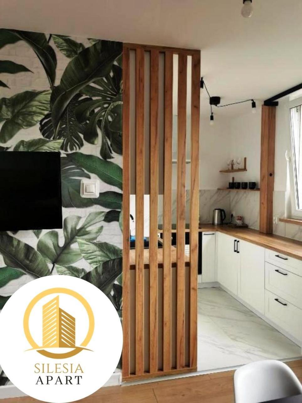 Apartment Apartament Miedziany Tychy